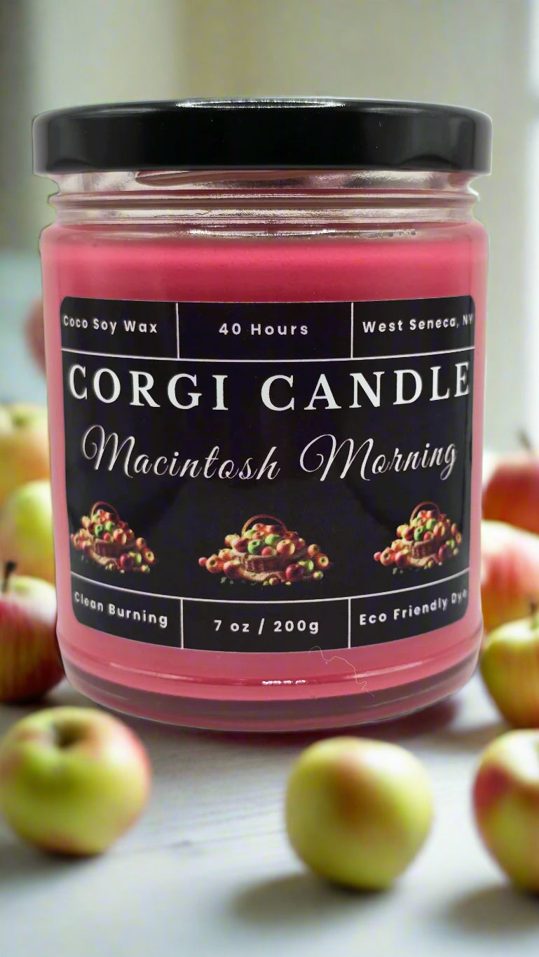 Macintosh Morning 7 oz soy candle by CORGI CANDLE in reusable glass jar with fresh apple and cinnamon scent
