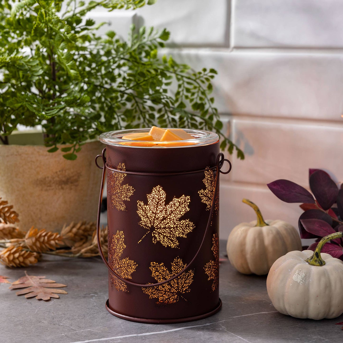 Vintage Bulb Illumination Warmer Deluxe-Fall Leaves