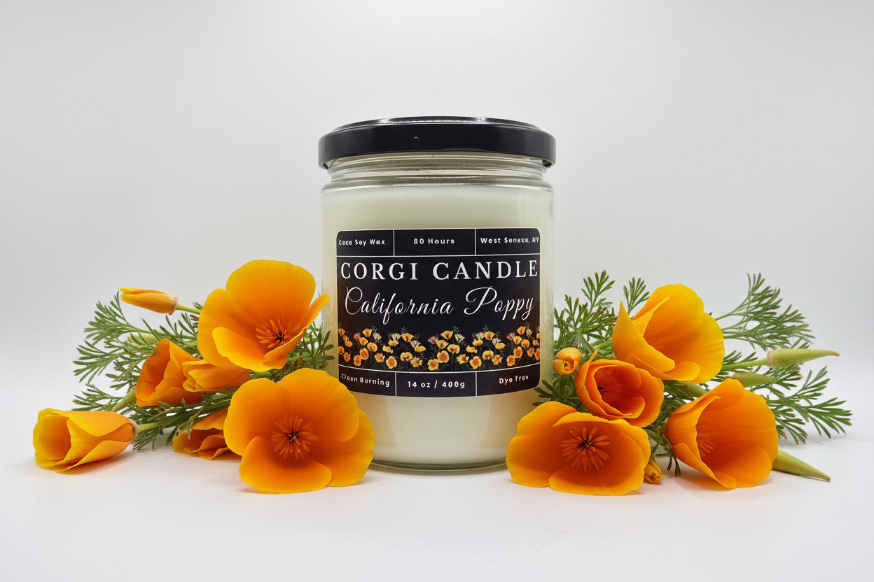 California Poppy 14 oz soy scented candle by CORGI CANDLE in large clear glass jar, bright floral citrus fragrance, eco-friendly candle hand poured in West Seneca New York