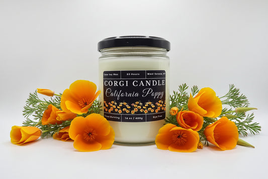 California Poppy 14 oz soy scented candle by CORGI CANDLE in large clear glass jar, bright floral citrus fragrance, eco-friendly candle hand poured in West Seneca New York