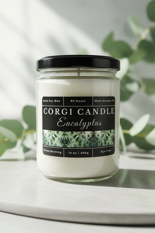 Eucalyptus 14 oz soy scented candle by CORGI CANDLE in clear glass jar, fresh eucalyptus fragrance candle, eco-friendly candle hand poured in West Seneca New York
