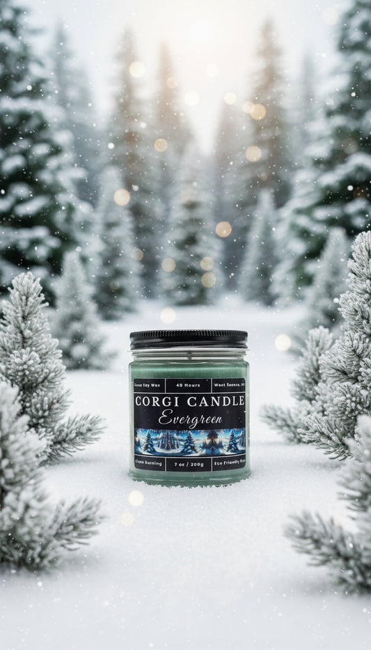 Evergreen Scented Soy Candle by CORGI CANDLE
