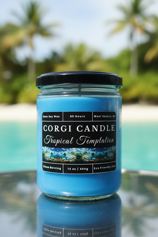 Tropical Temptation 14 oz soy scented candle by CORGI CANDLE in clear glass jar, tropical fragrance candle, eco-friendly candle hand poured in West Seneca New York