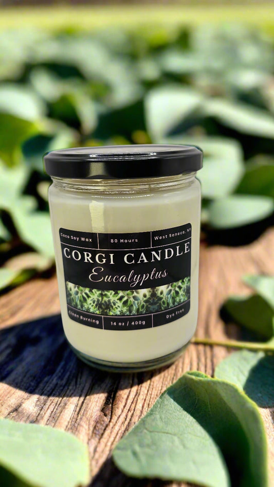 Eucalyptus soy candle by CORGI CANDLE in a 14 oz frosted glass jar with dual cotton wicks, styled on a clean spa-inspired background