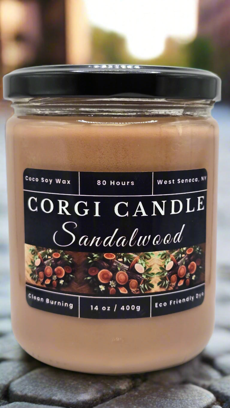 Sandalwood 14 oz soy candle by CORGI CANDLE in a minimal glass jar, styled in a calming home setting