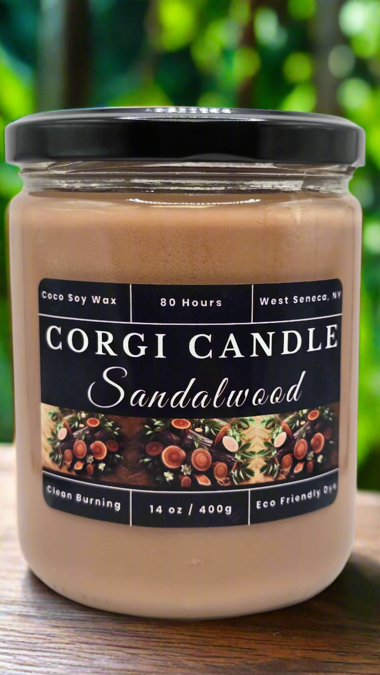 Sandalwood 14 oz soy candle by CORGI CANDLE in a minimal glass jar, styled in a calming home setting