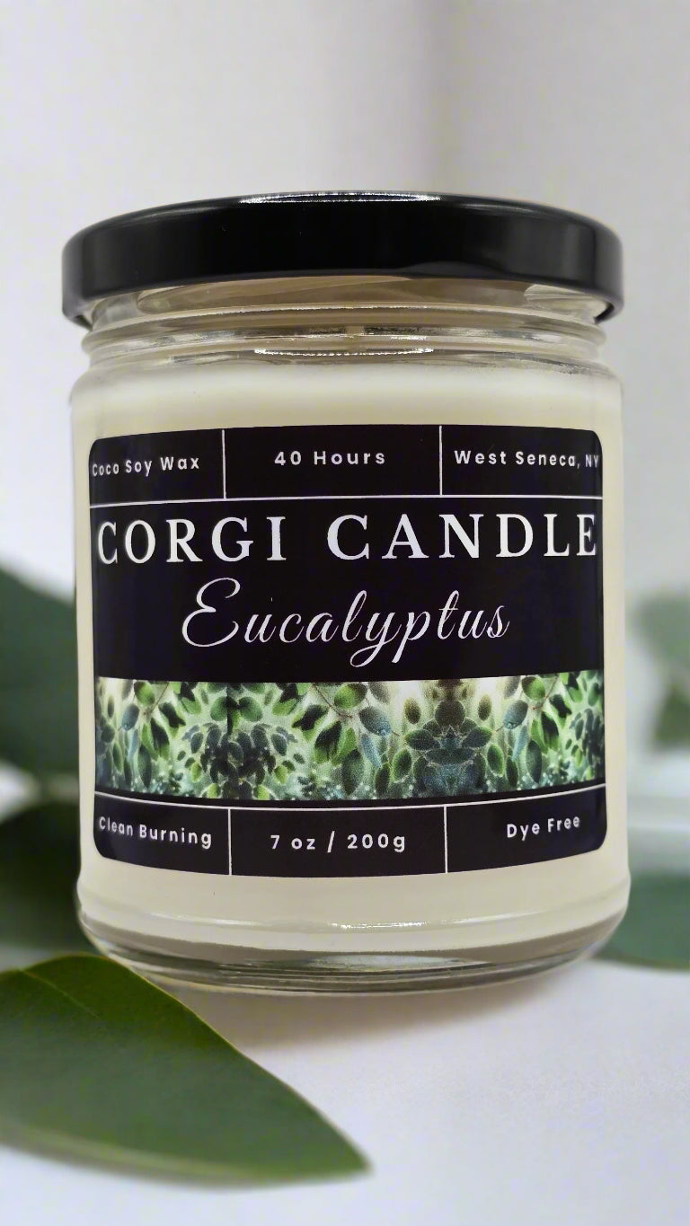 Eucalyptus 7 oz soy scented candle made with eco-friendly wax by CORGI CANDLE