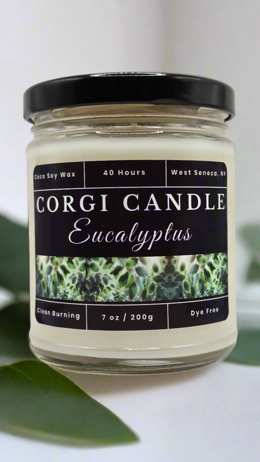 Eucalyptus 7 oz soy scented candle made with eco-friendly wax by CORGI CANDLE
