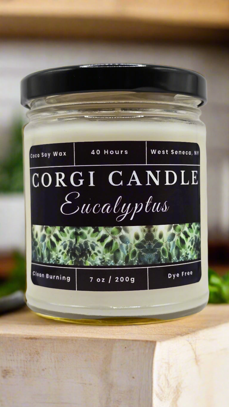 Eucalyptus 7 oz soy scented candle made with eco-friendly wax by CORGI CANDLE