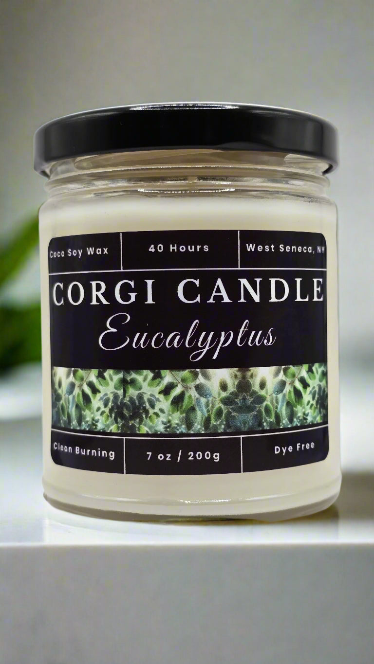 Eucalyptus 7 oz soy scented candle made with eco-friendly wax by CORGI CANDLE