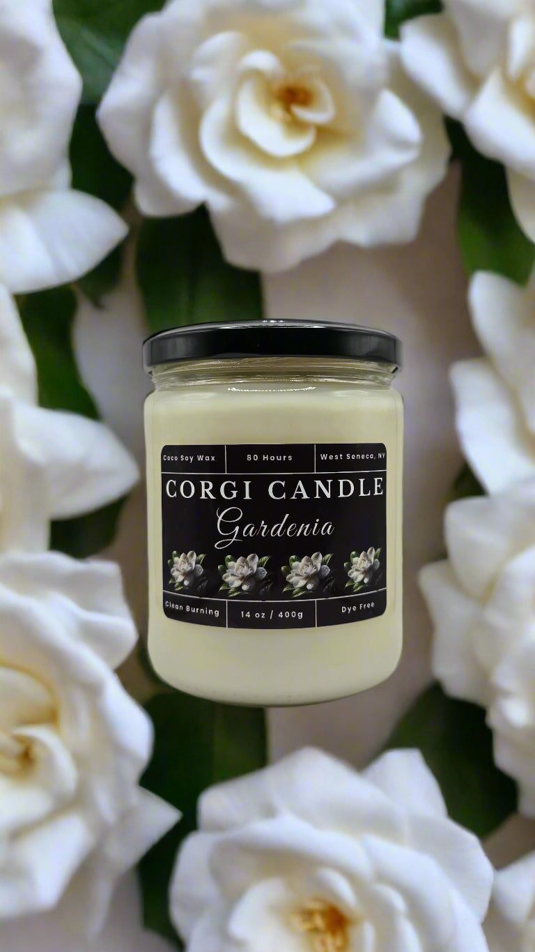 Gardenia 14 oz soy scented candle made with eco-friendly wax by CORGI CANDLE