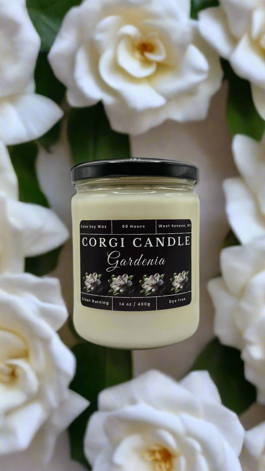 Gardenia 14 oz soy scented candle made with eco-friendly wax by CORGI CANDLE