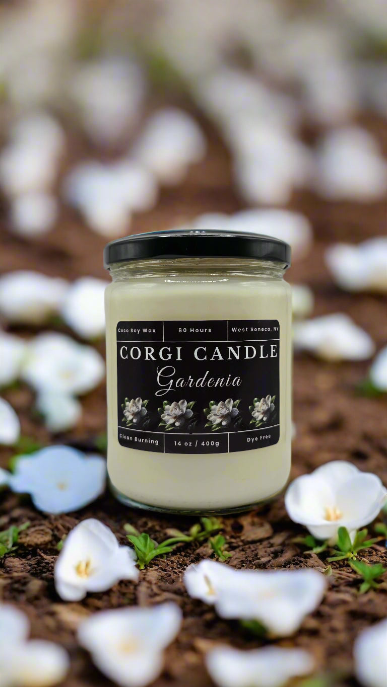 Gardenia 14 oz soy scented candle made with eco-friendly wax by CORGI CANDLE