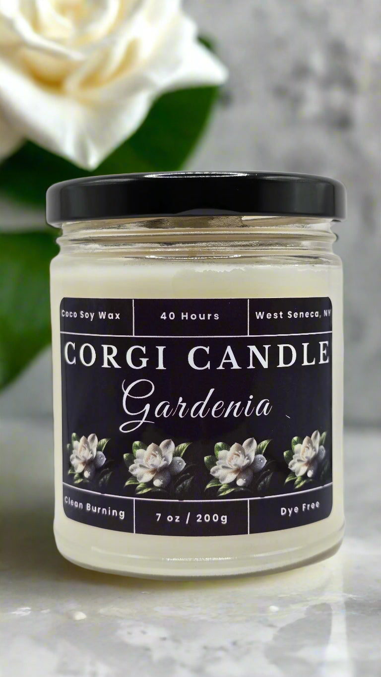 Gardenia 7 oz soy scented candle made with eco-friendly wax by CORGI CANDLE