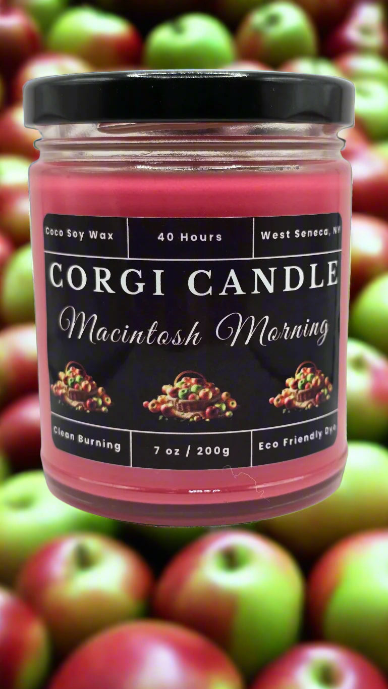 Macintosh Morning 7 oz soy candle by CORGI CANDLE in reusable glass jar with fresh apple and cinnamon scent.