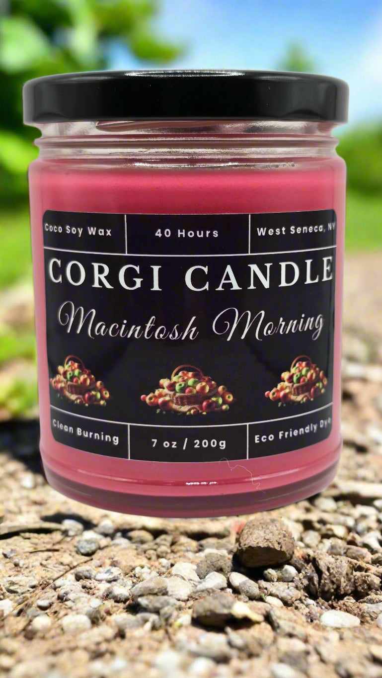 Macintosh Morning 7 oz soy candle by CORGI CANDLE in reusable glass jar with fresh apple and cinnamon scent

